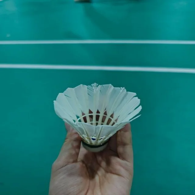 红土大师赛签表揭晓赛事精彩纷呈